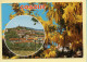 83. Souvenir De COGOLIN – Mimosas (voir Scan Recto/verso) - Cogolin