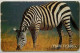 Tanzania 17,000 Shillings " Zebra " - Tanzanie