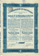 Titre De 1924 - Cie D'Exploitations Aux Indes Orientales - Anciennement Sté Bruxelloise De Cultures à Java - - Asie