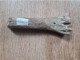 Os D'auroch, Néolithique Ou Paléolithique Supérieur, Carrière De L'Yonne - Fossils