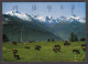 110383/ CRANS-MONTANA, Sur Les Alpages Au-dessus De La Station, Panorama Des Alpes Valaisannes - Crans-Montana