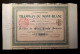 TRAMWAYS DU MONT-BLANC  - ACTION DE 500 FRANCS 1905 - Transporte