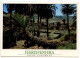 Spain 1994 Postcard Fuerteventura, Islas Canarias - Pajara Barranco De Ajuy; 45p. King Juan Carlos I Stamp - Fuerteventura