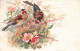 ANIMAUX & FAUNE - Oiseaux - Oiseau Nourrissant Ses Petits - Fleurs - Dessin- Carte Postale Ancienne - Oiseaux