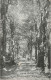 FRANCE - Sous Bois à La Livaudière - Sarthe - Forêt - Carte Postale Ancienne - Autres & Non Classés