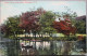 USA UNITED STATES NEW YORK WEST SIDE PARK PETERSON CARD CARTE POSTALE POSTKARTE POSTCARD ANSICHTSKARTE CARTOLINA - Syracuse