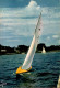 N°41097 Z -cpsm Voilier "Requin"  - Sailing