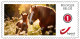 DUOSTAMP** / MYSTAMP** - Animaux De La Ferme / Dieren Op De Boerderij / Nutztiere / Farm Animals - SPECIAL EDITION - Donkeys