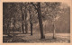 FRANCE - Vue Générale Sur L'Allée De Bacchus - Carte Postale Ancienne - Saint-Honoré-les-Bains