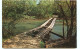 Etats-Unis - Missouri - Hog Trough Bridge - Located On Courtois Creek , Off Highway 8, Between Potosi And Steelville - Autres & Non Classés