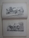 THE VILLAGE HOMES OF ENGLAND THE STUDIO 1912 - 163 PAGES ) BON ETAT - 29 X 21 CM    VOIR SCANS - Architecture/ Design