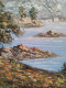 Delcampe - P.SARDLIC (XXème) " Bord De Mer Côte D'azur" Huile Sur Toile Cadre Bois Doré - Oelbilder