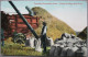 CANADA GRAIN HARVESTING KARTE CARD POSTKARTE ANSICHTSKARTE CARTOLINA POSTCARD CARTE POSTALE - Huntsville