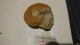 Delcampe - Lot De Fossiles Anciens -provenance ? - Fossils