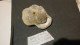 Delcampe - Lot De Fossiles Anciens -provenance ? - Fósiles