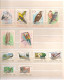 HONGRIE ANNÉES 1959/85   OISEAUX ** MNH Cote : 58,00 € - Collections, Lots & Séries