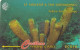 ST. VINCENT & THE GRENADINES(GPT) - Yellow Tube Sponge, CN : 142CSVB/B, Tirage %20000, Used - St. Vincent & The Grenadines