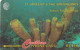 ST. VINCENT & THE GRENADINES(GPT) - Yellow Tube Sponge, CN : 52CSVF/B, Tirage 9900, Used - San Vicente Y Las Granadinas