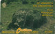 ST.VINCENT & GRENADINES(GPT) - Carib Petroglyph, CN : 7CSVB, Tirage 10000, Used - St. Vincent & The Grenadines