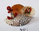 C40 Coquillage Souvenir - La Panne - Largeur 10 Cm - Seashells & Snail-shells