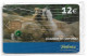 Spain - Telefónica - Cuidamos Tu Confianza - Leones, Lions - P-573 - 09.2005, 12€, 3.800ex, NSB - Private Issues