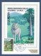 Italien / Italia 1999  Mi.Nr. 2620 , EUROPA CEPT  Natur- Und Nationalparks - Maximum Card - Roma Filatelico 12.03.1999 - 1999