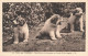 FRANCE - Types Des Pyrénées - Petits Chiens De Montagne Du Chenil Club D'Argelès - LL - Carte Postale Ancienne - Andere & Zonder Classificatie