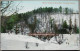 CANADA TORONTO ROSEDALE WINTER SCENE 1909 KARTE CARD POSTKARTE ANSICHTSKARTE POSTCARD CARTE POSTALE - Huntsville