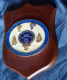 ITALIA STORICO CREST ARALDICO CRIMINALPOL - Police & Gendarmerie