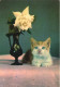 ANIMAUX & FAUNE - Chats - Un Chat à Côté D'une Vase De Fleur  - Carte Postale - Katten