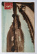 Mareuil Sur Ay Chevaux Halage Péniche Canal De La Marne Les Goisses Illusion D'une Bouteille De Champagne Circulée 1938 - Mareuil-sur-Ay