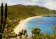 CPM- SAINT-BARTHÉLÉMY - Hôtel BAIE Des FLAMANDS Et La Plage *  Antilles Françaises* 2 Scans - Saint Barthelemy