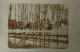 Sneek? FOTOKAART (bouw Huis) 1909 Topkaart - Sneek