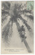 NOUVELLE-CALÉDONIE N°91 Octobre 1908 Pour Lunéville Sur Imprimé - CP Nouvelles-Hébrides Grimpant Au Cocotier - Lettres & Documents