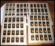 Delcampe - 03-3 Gros Cartons Timbres En Feuilles + De 65 Kg Cote + De 89000 Euros Voir Detail Topics  1.6% DE LA COTE !! - Collections (sans Albums)