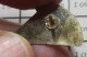 3419 Pin's Pins / Beau Et Rare / SPORTS / CLUB HANDBALL FALAISE CALVADOS - Balonmano