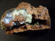 Delcampe - Adamite On Limonite Matrix - High Fluoresence Under UV ( 5.5 X 4 X 4 Cm) - Ojuela Mine - Mapimi - Mexico - Minéraux