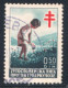 Kingdom Of Yugoslavia Charity Stamp TBC 1938, Yugoslav League Against Tuberculosis, Red Cross, Used - Oblitérés