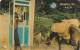 JAMAICA(GPT) - Phone Booth & Donkey, CN : 15JAMC, Used - Jamaïque