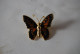 C40 Bijou Fantaisie - Broche Papillon - H 3cm - Spille