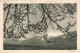 Suisse - Swiss - Heinmat - Montagnes - Paysage - Carte Postale Ancienne - Sonstige & Ohne Zuordnung