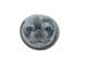 Weddell Seal Hand Painted On A Smooth Round Beach Stone Paperweight - Presse-papier