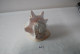 C40 Ancien Coquillage - Objet Rare - Nacre - Seashells & Snail-shells