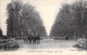 SPORT ÉQUESTRE ( Equitation Militaire Et De Loisirs)  Lot De 9 Cartes ( 3 CPA + 2 CPSM Photo N/B PF + 4 CPCM GF ) FRANCE - 5 - 99 Postcards