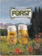 Calendarietto - Birra Forst  - Anno 2013 - Petit Format : 1991-00