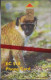 St. Kitts & Nevis - STK-C9, C&W, Monkey, Fauna, 10 EC$, 1/2000, Mint NSB - St. Kitts En Nevis