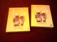 PLUS BELLE LA VIE SAISON 1 COFFRET 5 DVD EPISODES DE 121 A  150   //  30 FOIS 26 MIN ENVIRON - Collezioni & Lotti