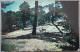 USA CALIFORNIA ASILOMAR PACIFIC GROVE CONFERENCE KARTE CARD POSTCARD CARTE POSTALE POSTKARTE CARTOLINA ANSICHTSKARTE - Long Beach