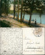 Ansichtskarte Grunewald-Berlin Stadtteilansicht Grunewald See Partie 1910 - Grunewald
