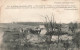 FRANCE - Puisaleine - La France Reconquise 1917 - Maison Neuve Et La Lisière Du Bois - Carte Postale Ancienne - Autres & Non Classés